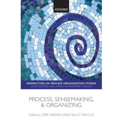 Abbildung von Process, Sensemaking, and Organizing (Perspectives on Process Organization Studies)
