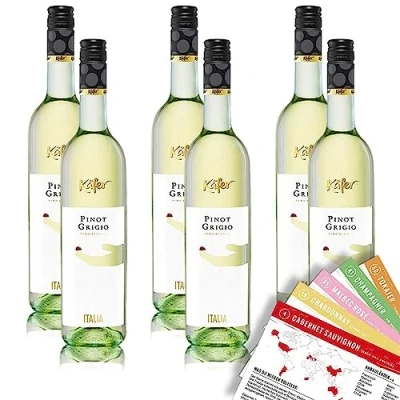 Abbildung von Käfer Pinot Grigio DOC, trocken, sortenreines Weinpaket + VINOX Winecards (6x0,75l)
