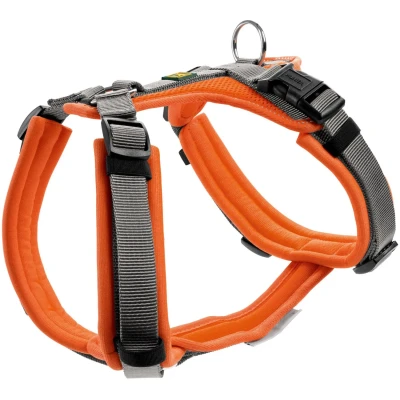 Abbildung von Geschirr Maldon Up XS, orange/grau Orange / Grau XS