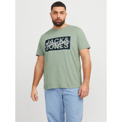 Abbildung von Jack &amp; Jones Tshirt print, Herren, Größe: 4XL, Iceberg green