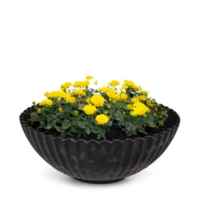 Abbildung von matches21 HOME &amp; HOBBY Blumentopf Dekoschale runde Pflanzschale für aussen schwarz marmoriert Ø 16 cm (1 St), Blumen Schale als Gartendeko Vogeltränke Springbrunnen Friedhof
