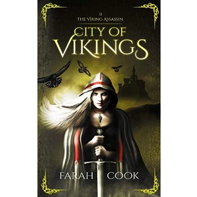 Abbildung von City of Skies (THE VIKING ASSASSIN SERIES, Band 1)