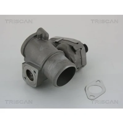 Abbildung von TRISCAN 8813 16101 AGR Ventil elektrisch mit Dichtungen FORD: MONDEO 3 Kombi, 3, Stufenheck, JAGUAR: X Type Limousine
