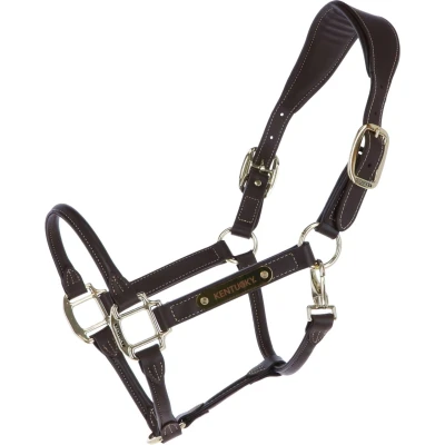 Abbildung von Kentucky Horsewear Leder Halfter Braun Warmblut