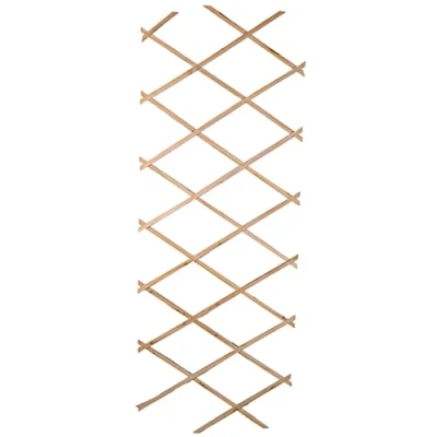 Abbildung von Spetebo Spalier Holz Rank Hilfe ausziehbar 180x90 cm, 1 St., ausziehbares Rankgitter für Kletterpflanzen,
