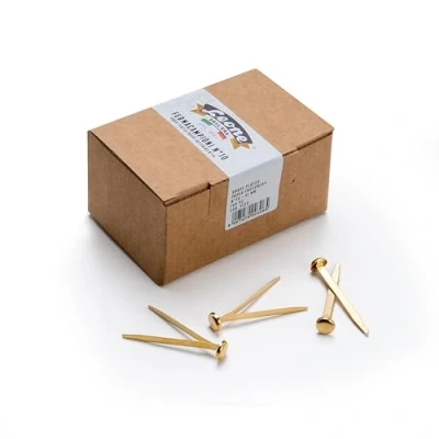 Abbildung von Leone Dell Era FC10 fermacampioni Astra N 10 50 mm Paket von 100