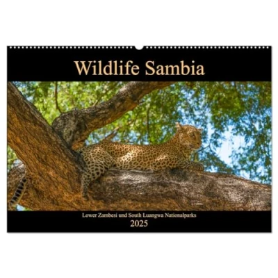 Abbildung von Wildlife Sambia (Wandkalender 2025 DIN A2 quer), CALVENDO Monatskalender