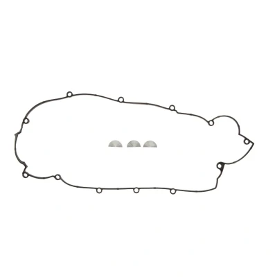 Abbildung von REINZ 15 53976 01 Dichtungssatz, Zylinderkopfhaube HYUNDAI: i30 I Schrägheck, Tucson, Kombi, KIA: Cerato Limousine, cee‘d Schrägheck