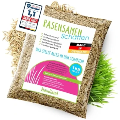 Abbildung von halmland® Rasensamen Schattenrasen schnellkeimend 1kg für 40m² Premiumrasen Schattenbereiche Grassamen trockenresistent Frühjahr made in Germany Schattenrasensamen