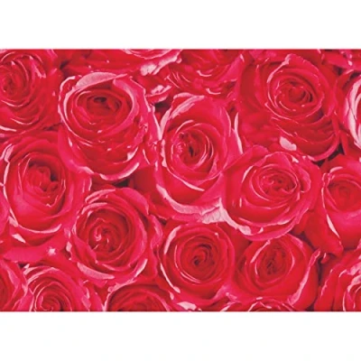 Abbildung von AS4HOME Möbelfolie rote Rosen Dots 45 cm x 200 cm, Muster: Blumenmuster