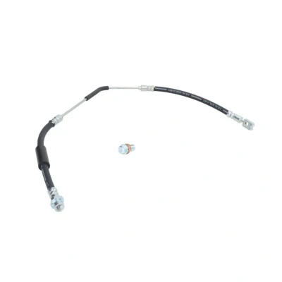 Abbildung von DELPHI LH7076 Bremsschläuche Banjo LAND ROVER: Range Rover 3