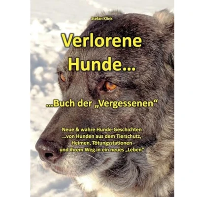 Abbildung von Verlorene Hunde: ...Buch der &quot;Vergessenen&quot; (Hund mit Streifen)