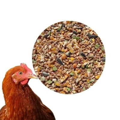 Abbildung von 25 kg Premium Hühnerfutter Körnerfutter Plus Geflügelfutter für Hühner, Gänse, Enten GVO frei Kükenfutter
