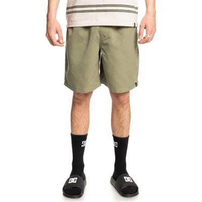 Abbildung von DC Shoes Shorts, Herren, Größe: Large, Deep lichen green