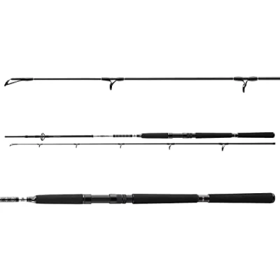 Abbildung von Daiwa BG Pilk 2,70m 50 165g Meeresrute