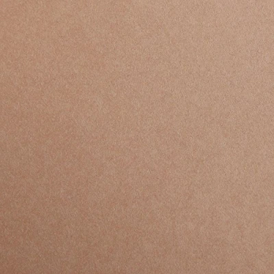 Abbildung von Clairefontaine 97374C Packung (mit 25 Bögen Zeichenpapier Maya, DIN A4, 21 x 29,7 cm, 120g, glatt, ideal für Trockentechnik und Einrahmen) braun