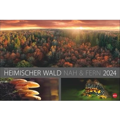Abbildung von Wald nah und fern Edition Kalender 2024. Der von seiner schönsten Seite in einem Wandkalender. Großformat mit idyllischen Landschafts Fotos.