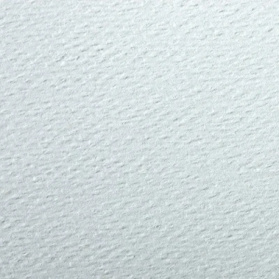 Abbildung von Clairefontaine 90894C Packung (mit 5 Bögen Zeichenpapier Etival Color, DIN A4, 21 x 29,7 cm, 160g, gekörnt, ideal für Trockentechnik und Einrahmen) azurblau
