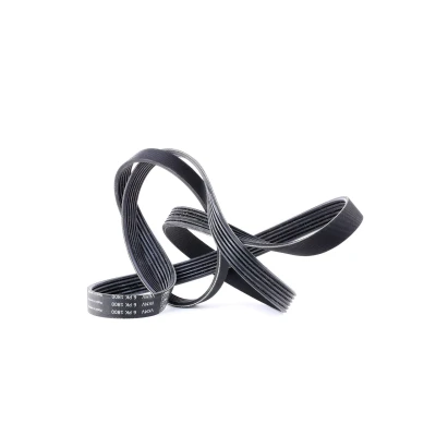 Abbildung von SKF VKMV 6PK1800 Keilrippenriemen 1800 6 OPEL: Corsa B Schrägheck, Astra F CC, Vectra Limousine, FORD: Transit Mk4 Bus