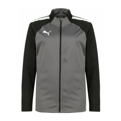 Abbildung von puma LIGA Trainingsjacke, Herren, Größe: Medium, Smoked pearl / white