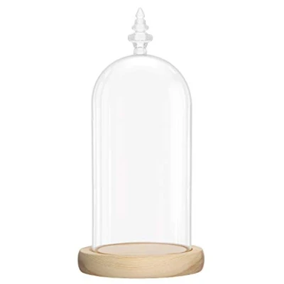 Abbildung von Belle Vous Glas Glocke Glaskuppel Groß mit Holzboden 26,5cm Dekorative Glashaube Als Tischdeko, Deko Kuppel Transparent Glasglocke, Glass Dome Cloche Boden für Lichter, Deko, Wohnaccessoire