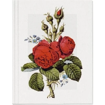 Abbildung von Geschichte der Rose Großes Notizheft Motiv Moosrose: Format Din A5