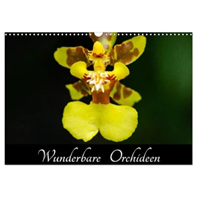 Abbildung von Wunderbare Orchideen (Wandkalender 2025 DIN A3 quer), CALVENDO Monatskalender