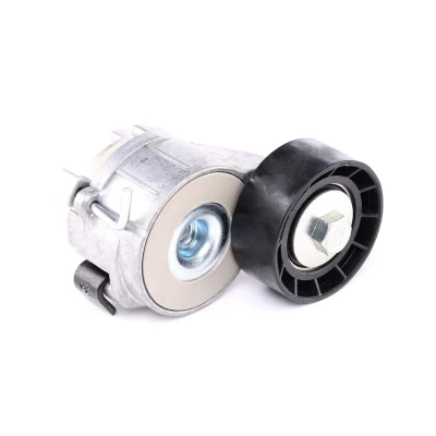 Abbildung von SKF VKM 33161 Spannrolle PEUGEOT: 206 Schrägheck, 206+ 407 Limousine, CITROËN: Berlingo II, / First I, Xsara Picasso