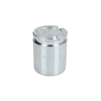 Abbildung von AUTOFREN SEINSA D025543 Kolben, Bremssattel 43 Hinterachse TRW AUDI: A6 C6 Avant, Limousine, A5 B8 Sportback