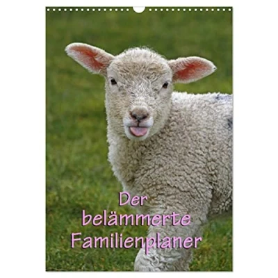 Abbildung von Der belämmerte Familienplaner (Wandkalender 2025 DIN A3 hoch), CALVENDO Monatskalender