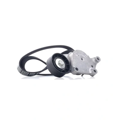Abbildung von DAYCO KPV408 Keilrippenriemensatz FORD: Grand C Max, Focus 2 Schrägheck, Kombi, VOLVO: V70 3, V50, C30