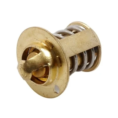 Abbildung von Thermostat 70 kompatibel mit RIEJU MRX 50 AM6, RR AM6