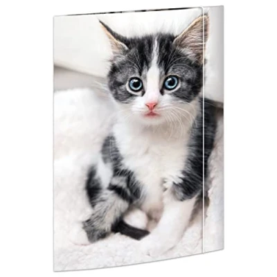 Abbildung von RNK Verlag Konferenzmappe 1 Zeichenmappe mit Gummizug 3 Klappen am Unterdeckel A3 Katze