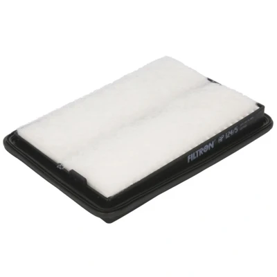 Abbildung von FILTRON AP 124/5 Luftfilter 36 172 252 Filtereinsatz RENAULT: Koleos 2