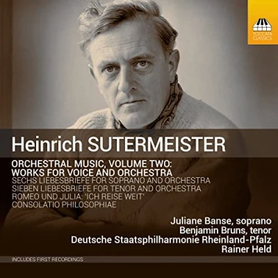 Abbildung von Orchesterwerke, Vol.2