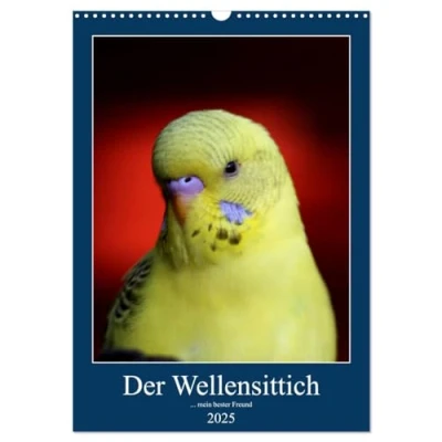 Abbildung von Der Wellensittich mein bester Freund (Wandkalender 2025 DIN A3 hoch), CALVENDO Monatskalender