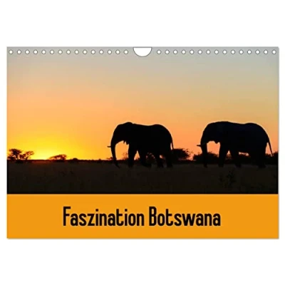 Abbildung von Faszination Botswana (Wandkalender 2025 DIN A4 quer), CALVENDO Monatskalender