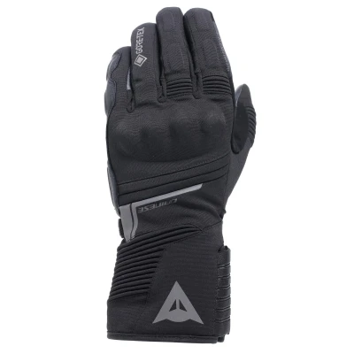 Abbildung von Dainese Funes Gore Tex® Gloves, Winter Motorradhandschuhe, gepolstert, rutschfest, Knöchelschutz, Touchscreen, Mann, Schwarz, XS