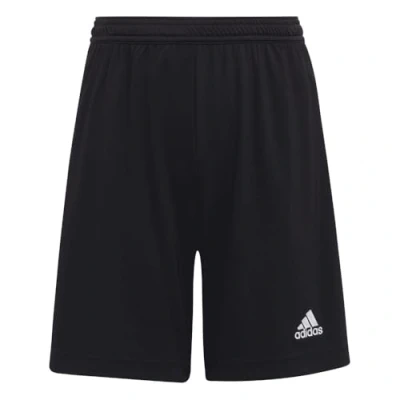 Abbildung von adidas Unisex Kinder Entrada 22 Shorts, Black, 7 8 Years