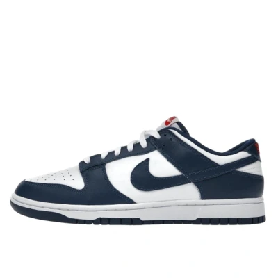 Abbildung von Schuhe Dunk Low Valerian Blue