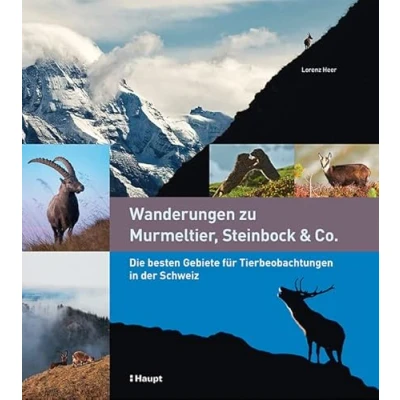Abbildung von Wanderungen zu Murmeltier, Steinbock &amp; Co.: Die besten Gebiete für Tierbeobachtungen in der Schweiz