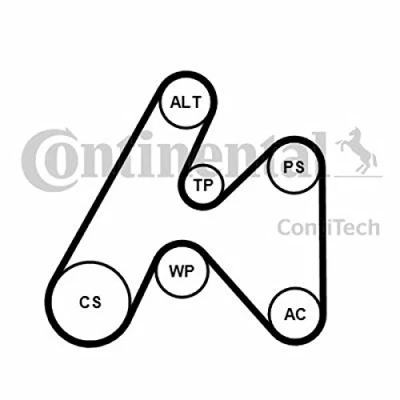 Abbildung von CONTITECH 6PK1660K3 Keilrippenriemensatz RENAULT: ESPACE 3, MEGANE Scenic, 1