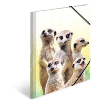 Abbildung von HERMA Organisationsmappe Sammelmappe A3 PP Erdmännchentruppe