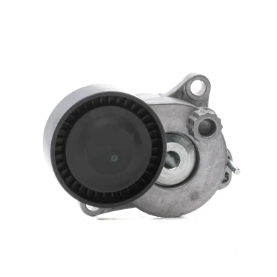 Abbildung von RIDEX 310T0393 Spannrolle MERCEDES BENZ: C Klasse Limousine, T modell, E Limousine