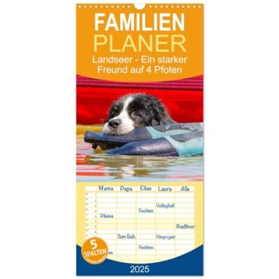 Abbildung von Familienplaner 2025 Landseer Ein starker Freund auf 4 Pfoten mit 5 Spalten (Wandkalender, 21 cm x 45 cm), CALVENDO