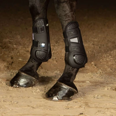 Abbildung von Harry&#039;s Horse Beinschutz Atem Full Schwarz