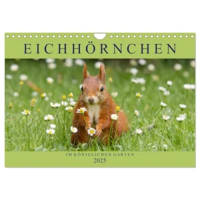 Abbildung von Eichhörnchen im Königlichen Garten (Wandkalender 2025 DIN A4 quer), CALVENDO Monatskalender