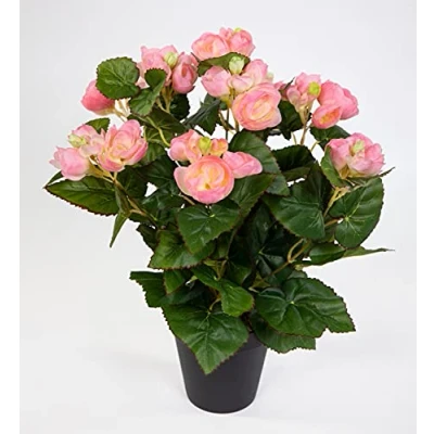 Abbildung von Seidenblumen Roß Begonie 38cm rosa im Topf LM Kunstpflanzen Kunstblumen künstliche Blumen Pflanzen Begonienbusch