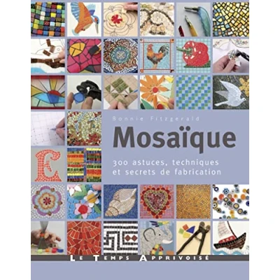 Abbildung von Mosaïque 300 astuces, techniques et secrets de fabrication