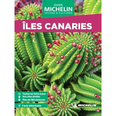 Abbildung von Iles Canaries GVF (Le guide vert voyage &amp; cultures)